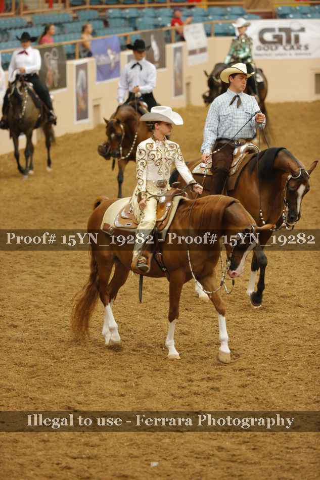 Proof Number 15YN_19282