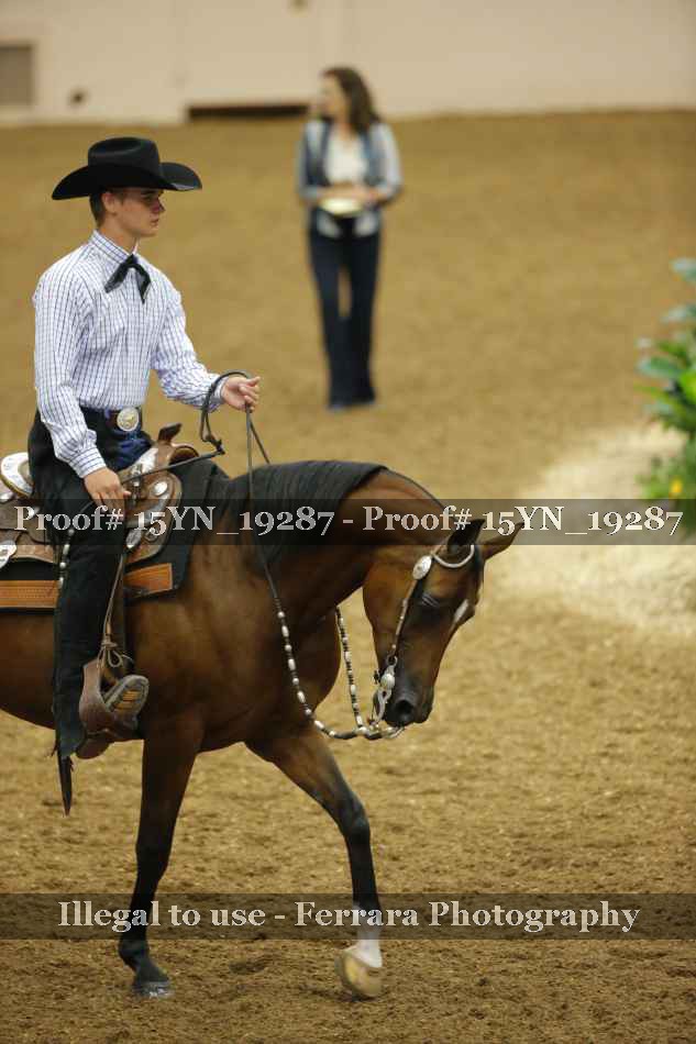 Proof Number 15YN_19287