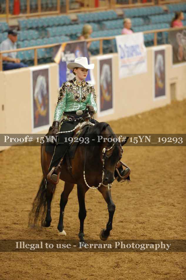 Proof Number 15YN_19293