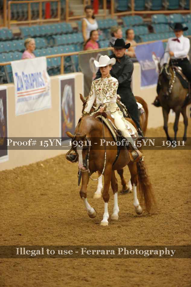 Proof Number 15YN_19311
