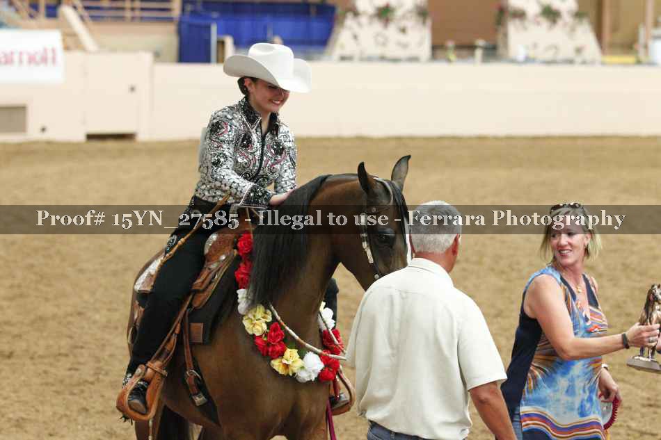 Proof Number 15YN_27585