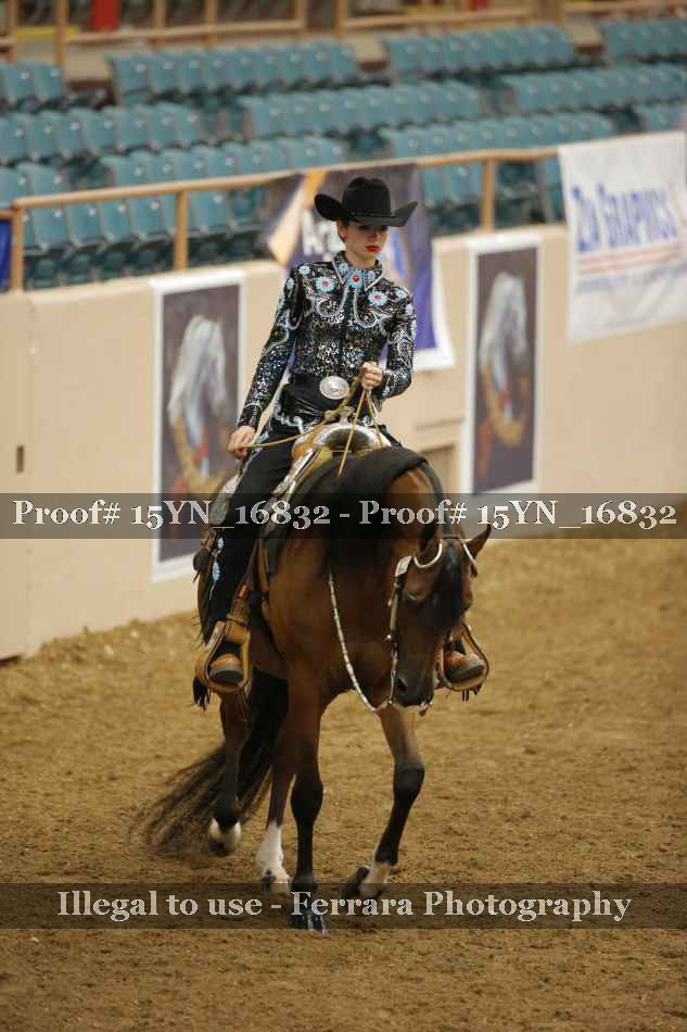 Proof Number 15YN_16832