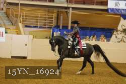 15YN_16924 thumbnail