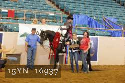 15YN_16937 thumbnail