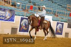 15YN_16943 thumbnail