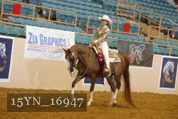 15YN_16947 thumbnail