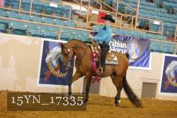 15YN_17335 thumbnail
