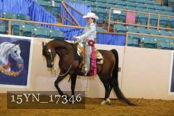 15YN_17346 thumbnail