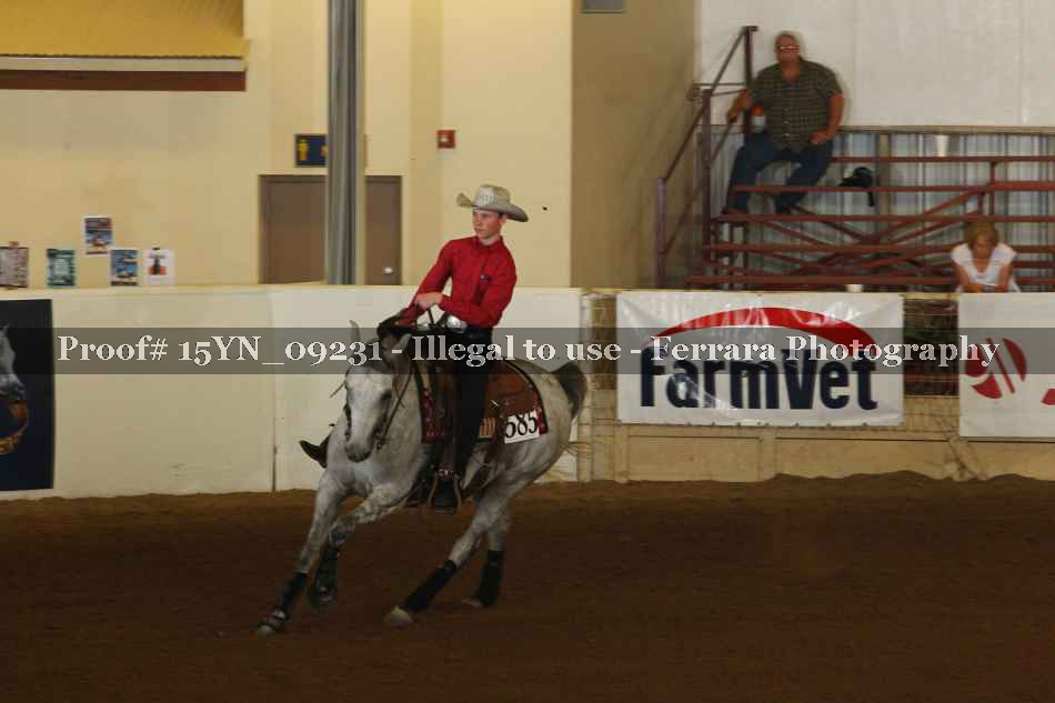 Proof Number 15YN_09231