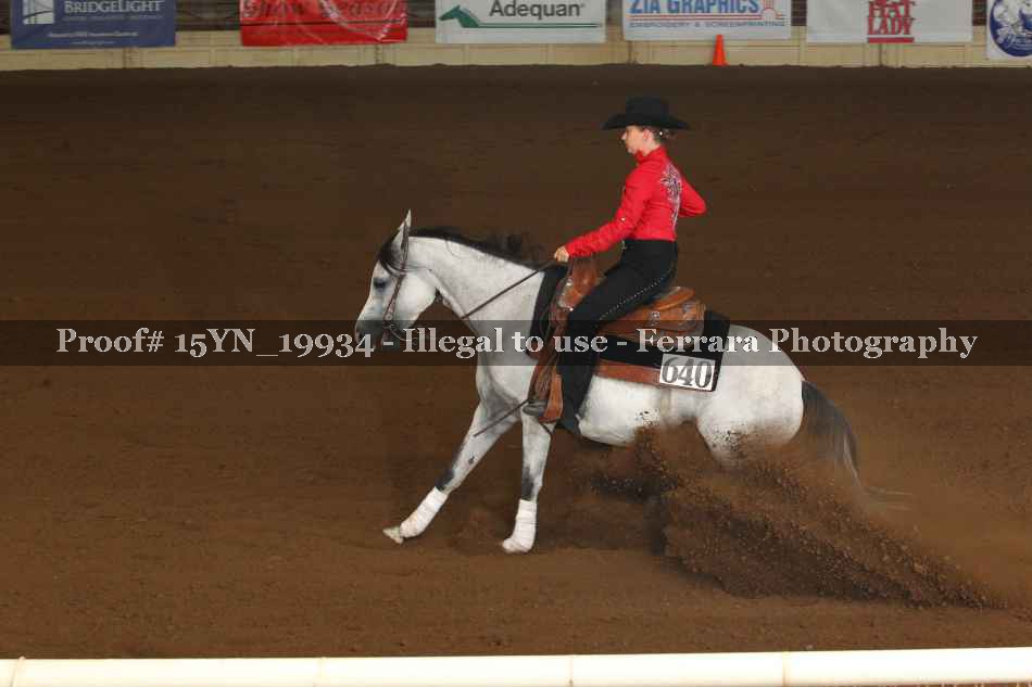 Proof Number 15YN_19934
