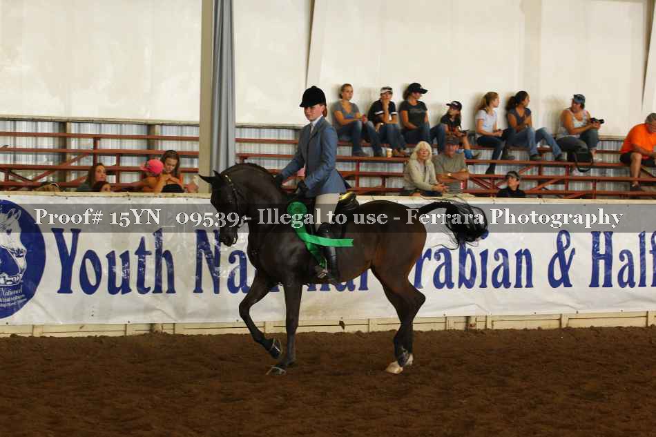 Proof Number 15YN_09539
