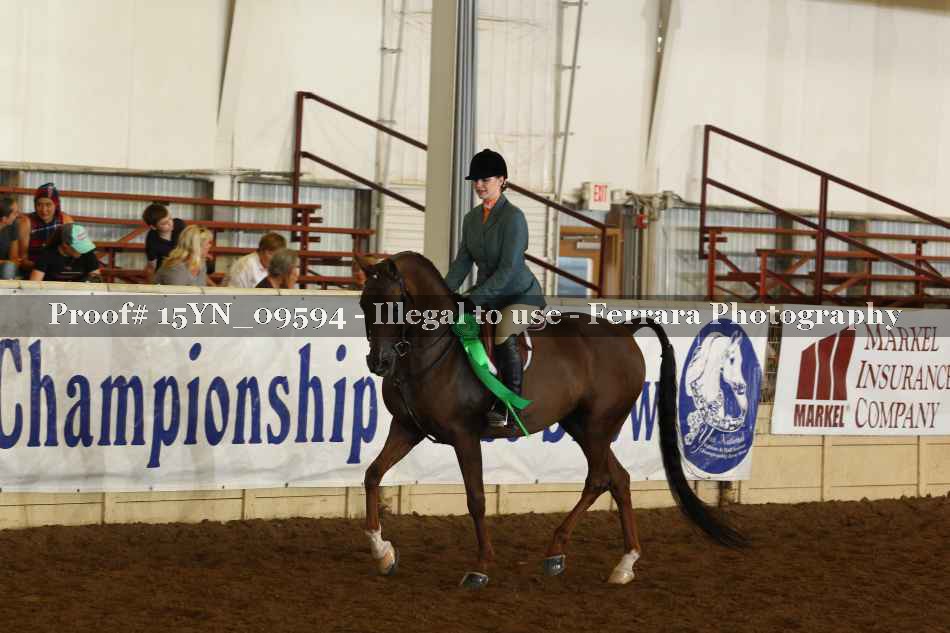 Proof Number 15YN_09594