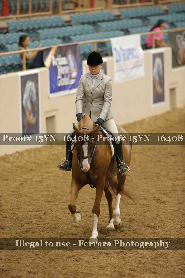Proof Number 15YN_16408