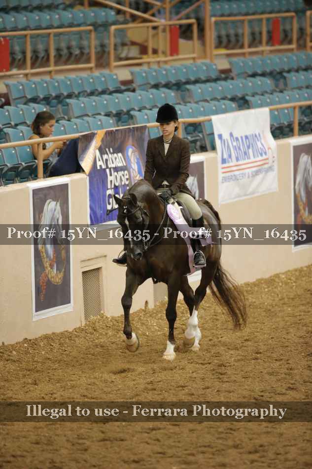 Proof Number 15YN_16435