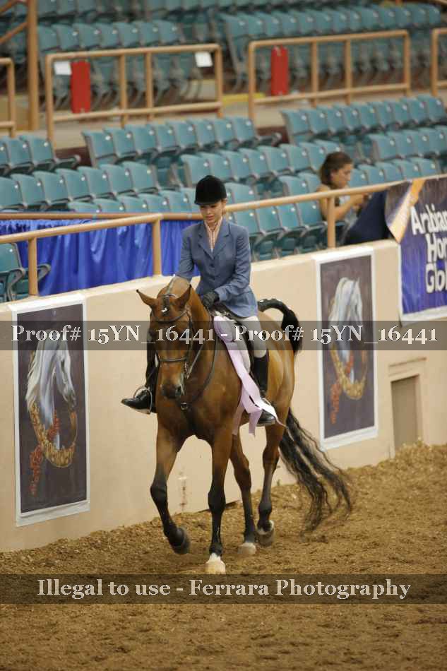 Proof Number 15YN_16441