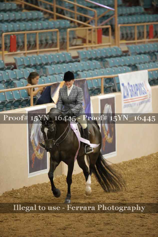 Proof Number 15YN_16445
