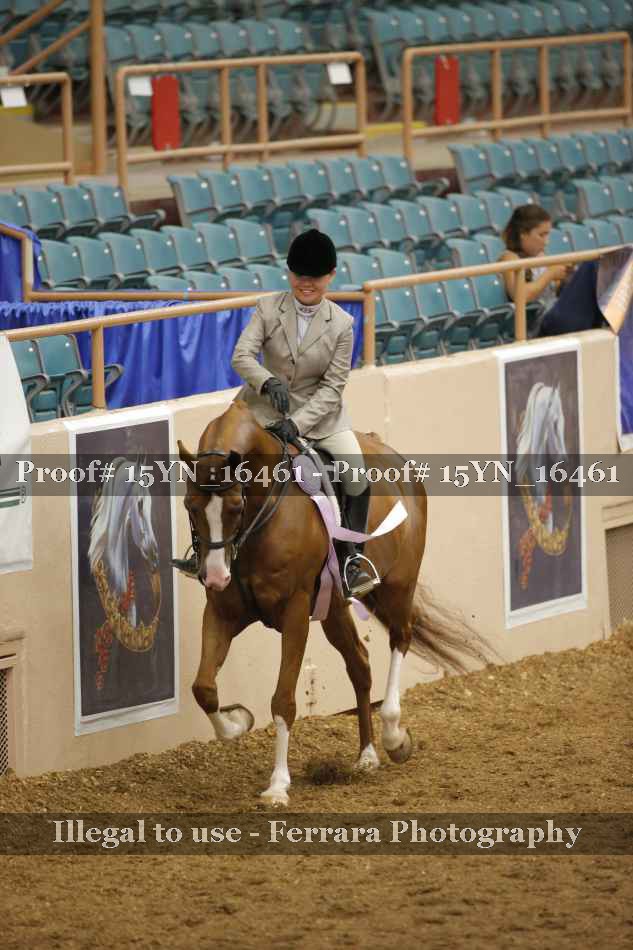 Proof Number 15YN_16461