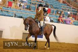 15YN_16471 thumbnail