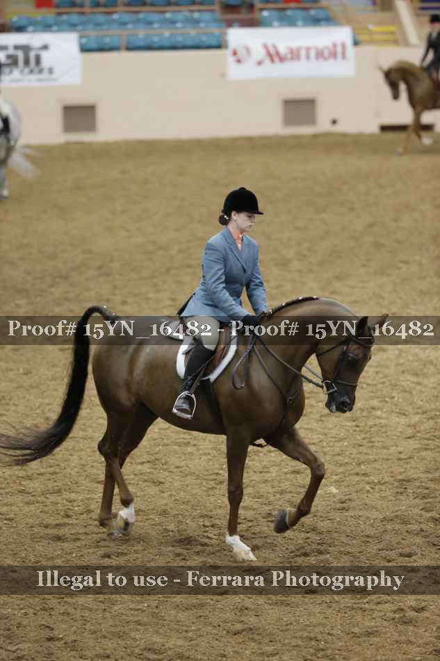 Proof Number 15YN_16482