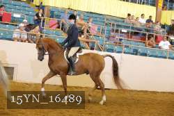 15YN_16489 thumbnail