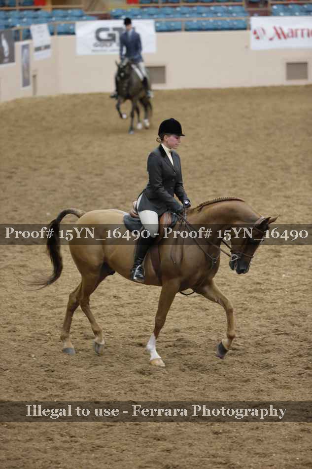 Proof Number 15YN_16490