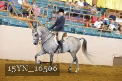 15YN_16506 thumbnail