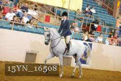 15YN_16508 thumbnail