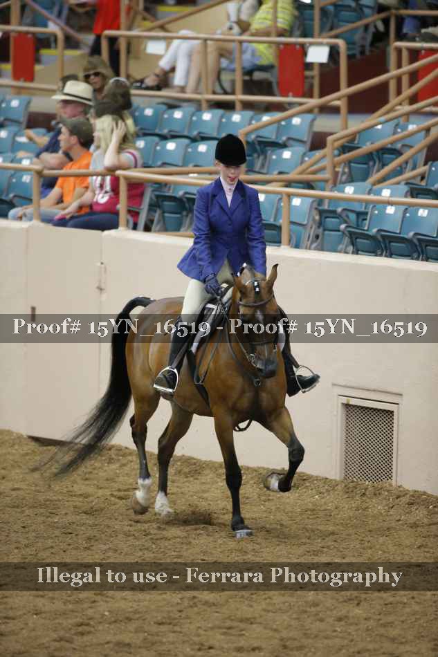 Proof Number 15YN_16519