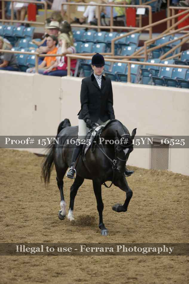 Proof Number 15YN_16525