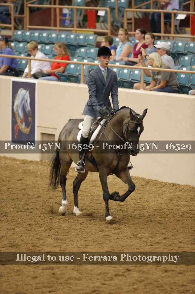 Proof Number 15YN_16529