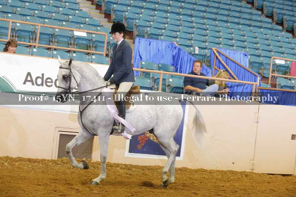 Proof Number 15YN_17411