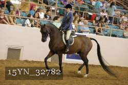 15YN_32782 thumbnail