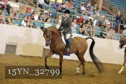 15YN_32799 thumbnail