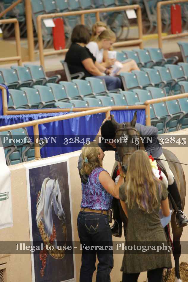 Proof Number 15YN_32845