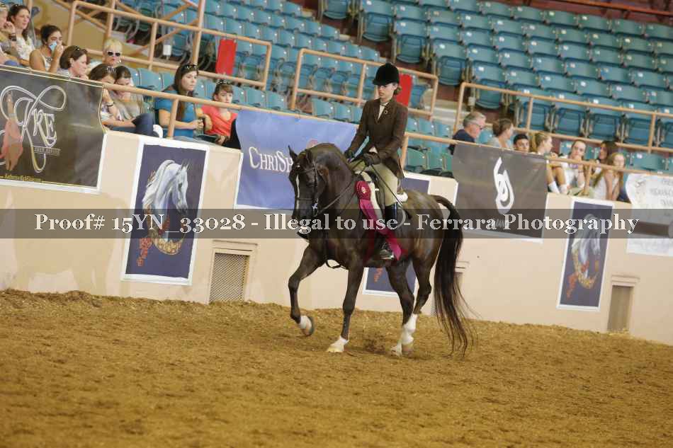 Proof Number 15YN_33028