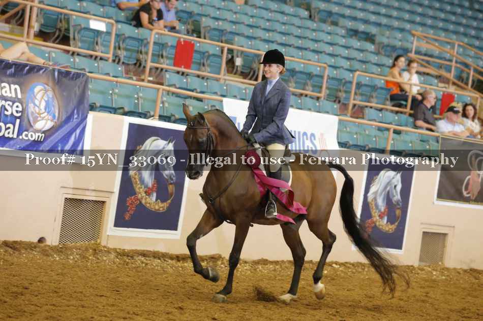 Proof Number 15YN_33069