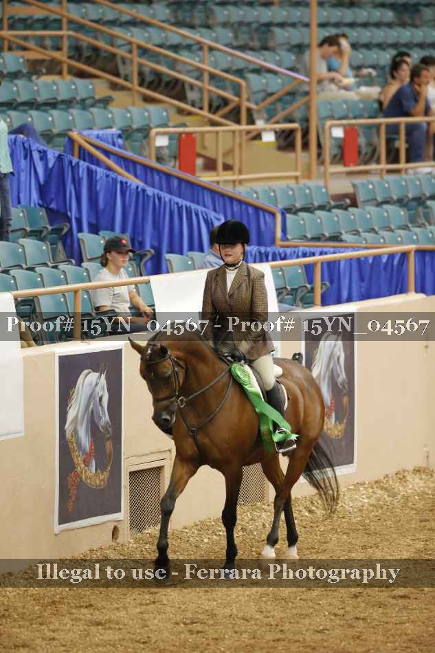 Proof Number 15YN_04567