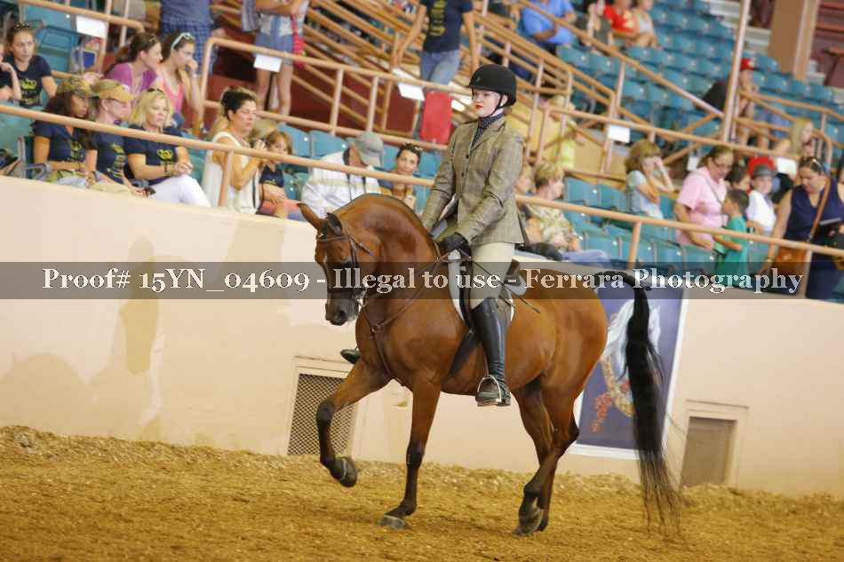 Proof Number 15YN_04609