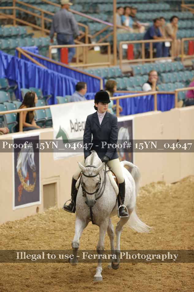 Proof Number 15YN_04647