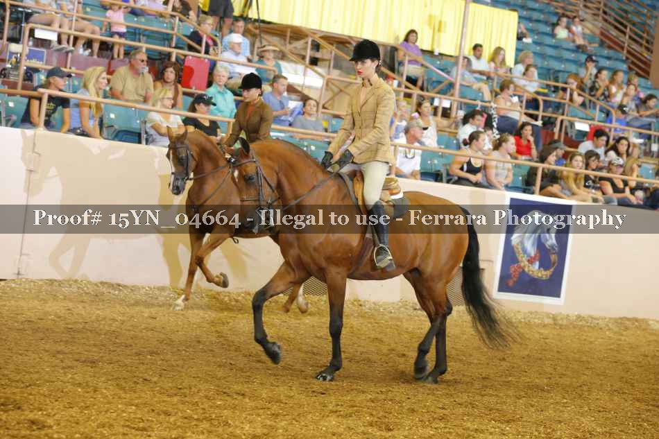 Proof Number 15YN_04664