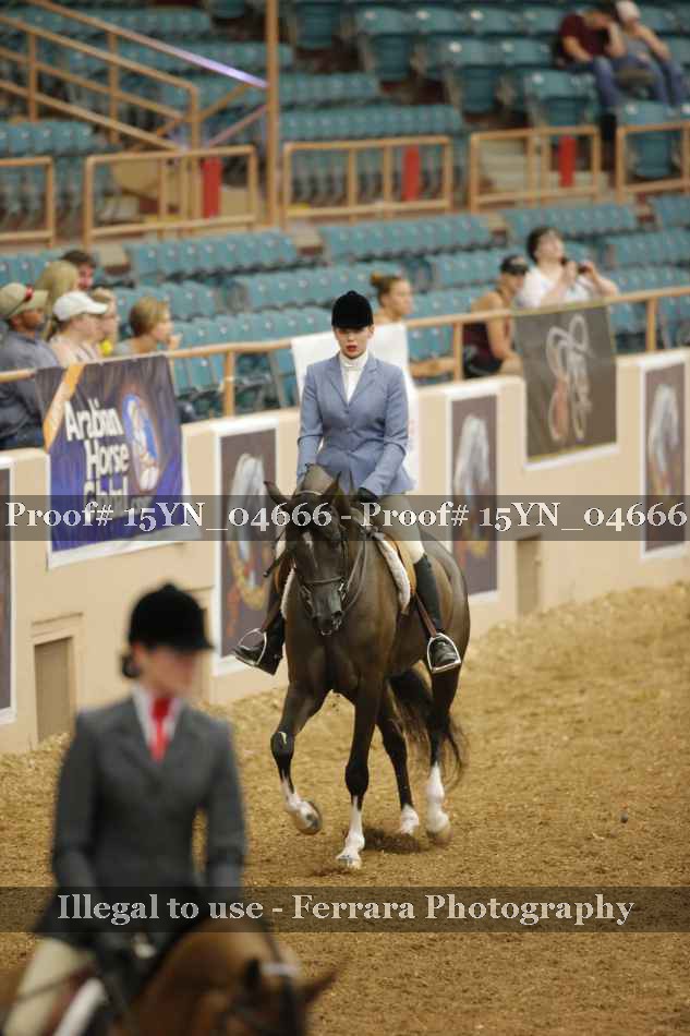 Proof Number 15YN_04666
