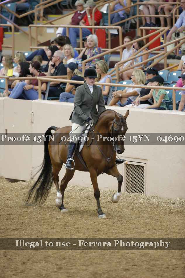 Proof Number 15YN_04690