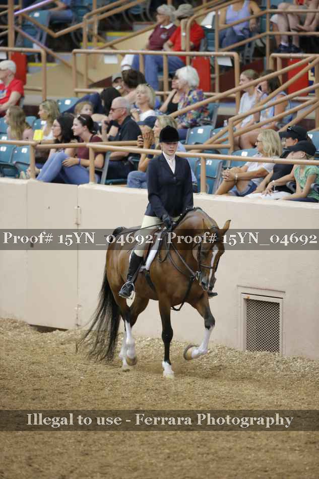 Proof Number 15YN_04692