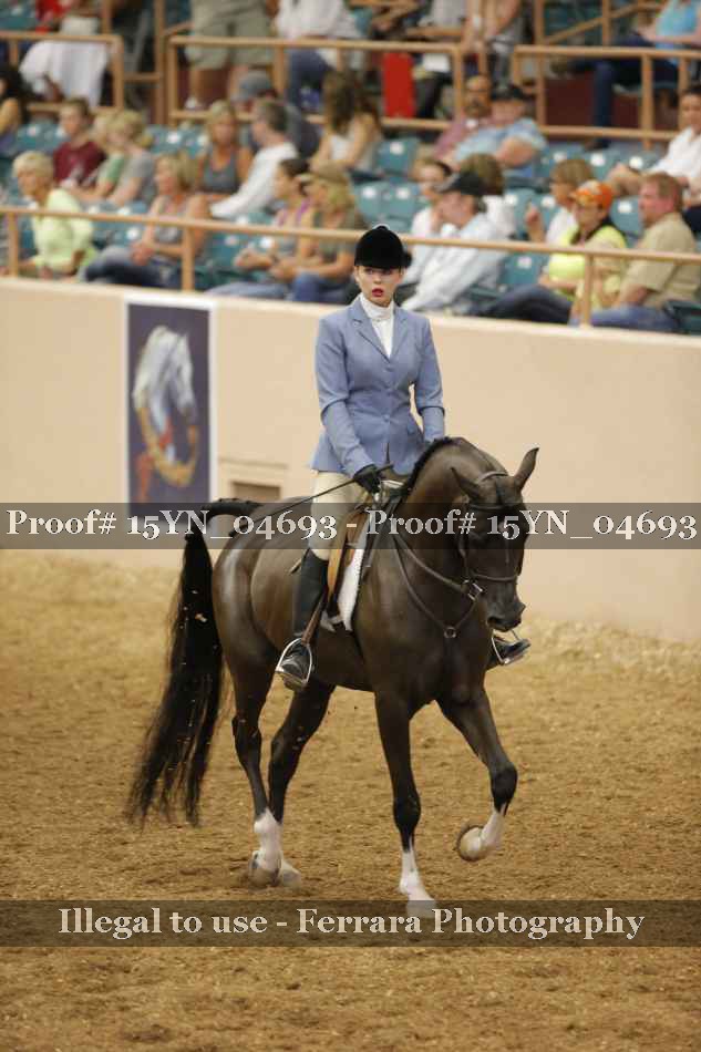 Proof Number 15YN_04693