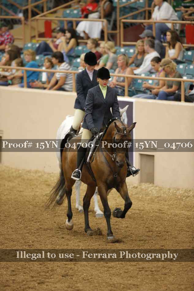 Proof Number 15YN_04706