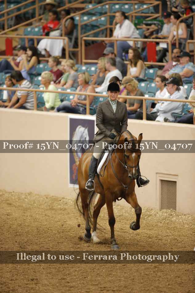 Proof Number 15YN_04707
