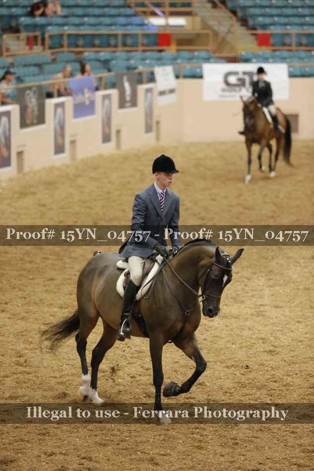 Proof Number 15YN_04757