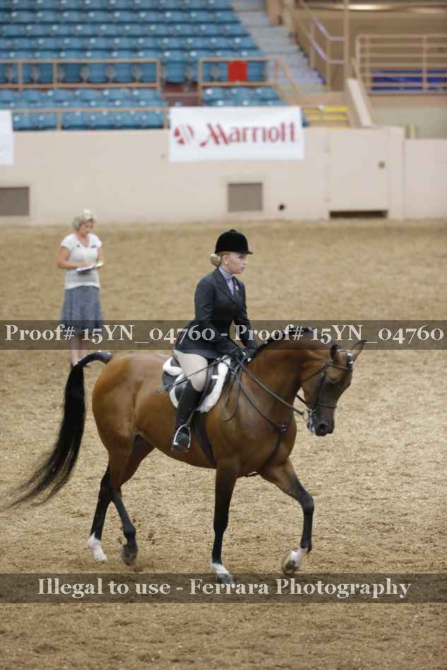 Proof Number 15YN_04760