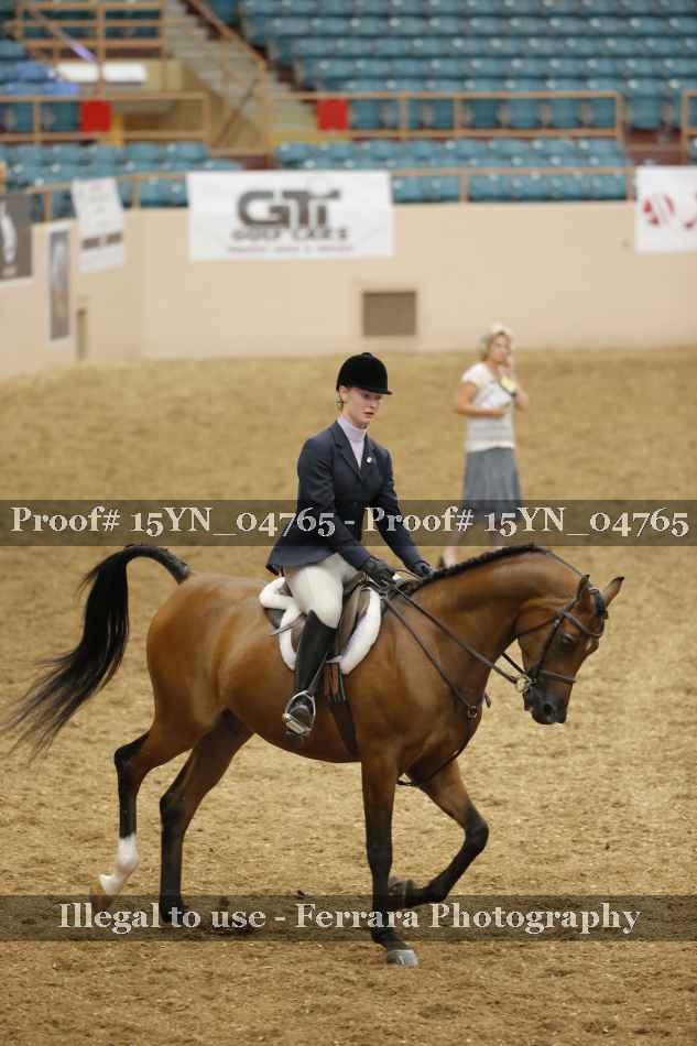 Proof Number 15YN_04765