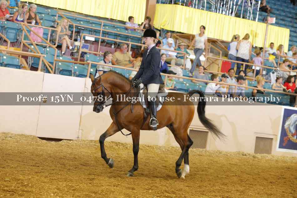 Proof Number 15YN_04781